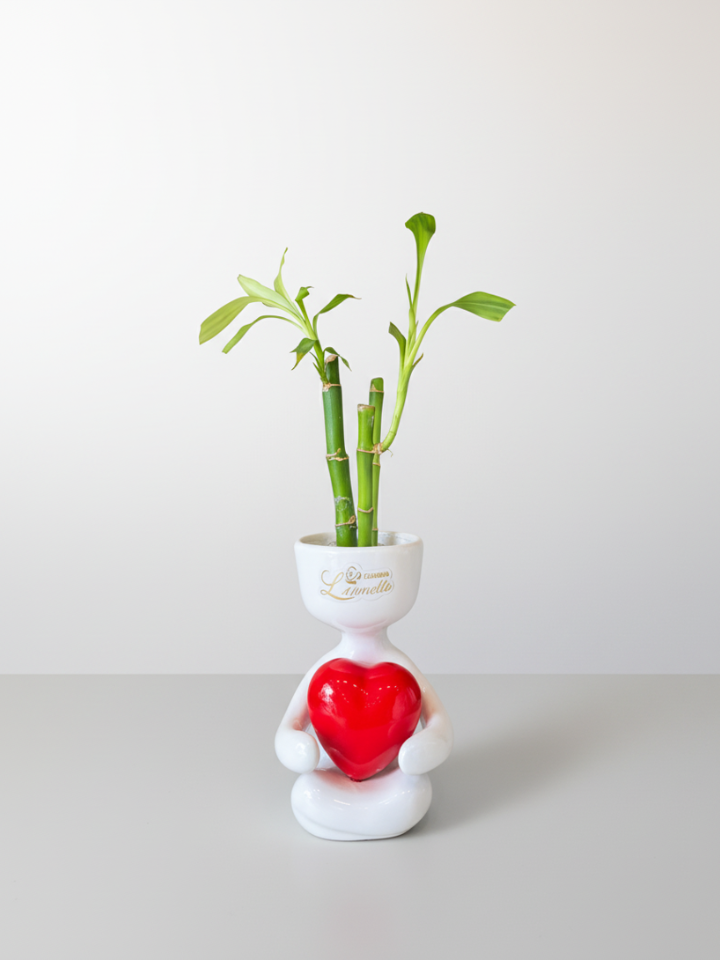Producto: Destacados / código: Lucky bamboo - niño