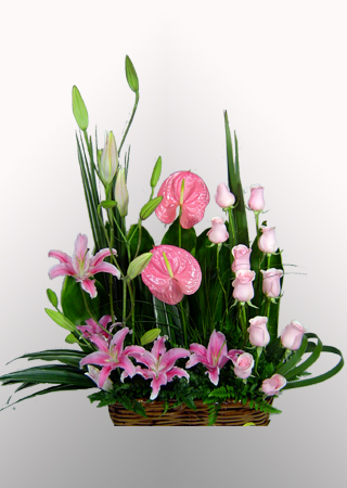 Producto: Liliums / código: CU - 014