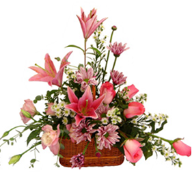 Producto: Liliums / código: CU - 017