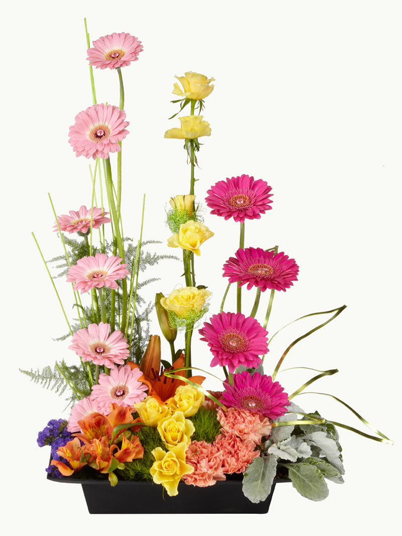 Producto: Gerberas / código: GER - 006