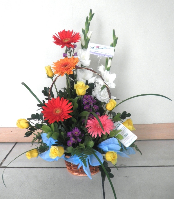 Producto: Gerberas / código: GER - 010