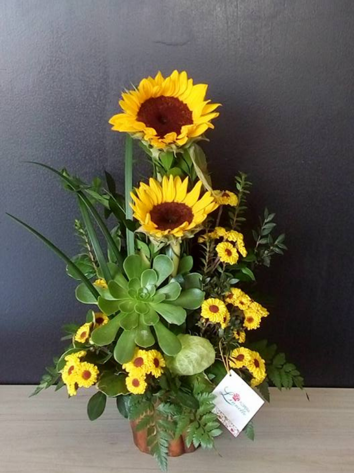 Producto: Girasoles / código: AS-006