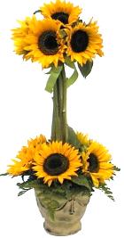 Producto: Girasoles / código: GIR - 003