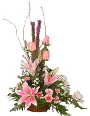 Producto: Liliums / código: LIL - 004