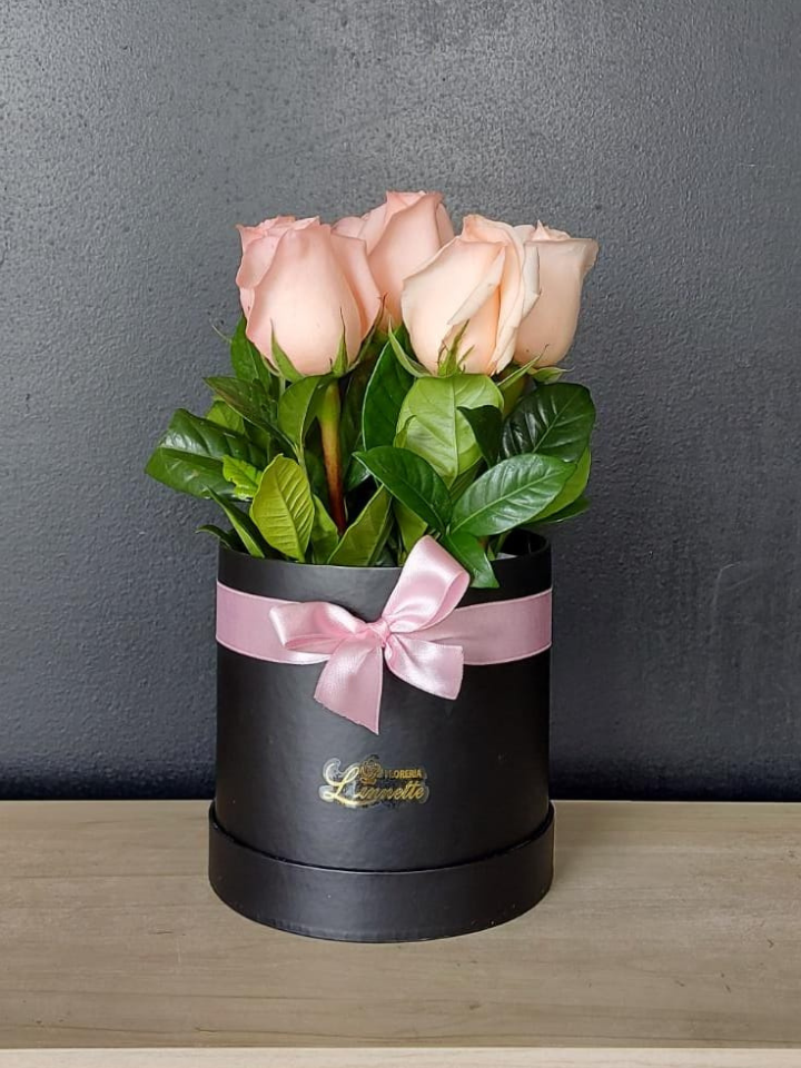 Producto: Cumpleaños / código: Sombrerera 6 rosas