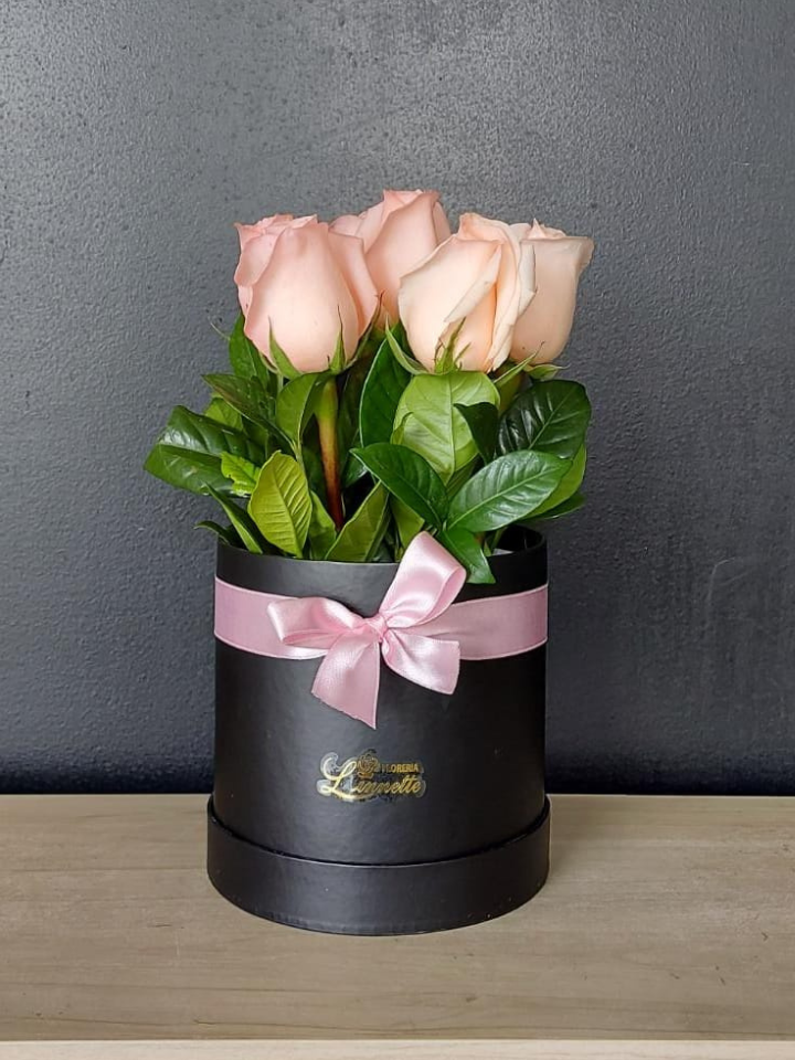 Producto: Rosas / código: Sombrerera 6 rosas