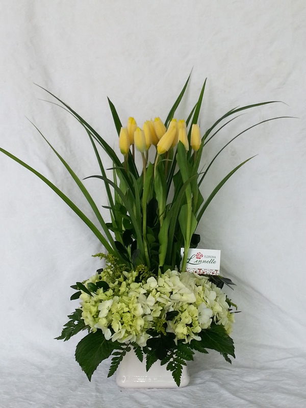 Producto: Tulipanes / código: TUL - 010